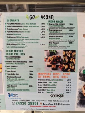 Vegan portion of the menu at Gyros House in Kalampaka