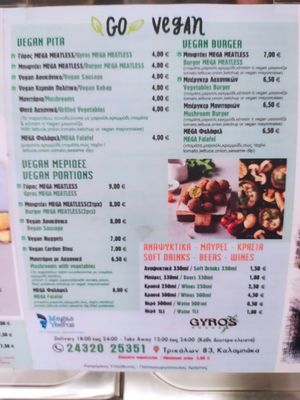  at Gyros House in Kalampaka