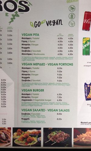   at Gyros House in Kalampaka