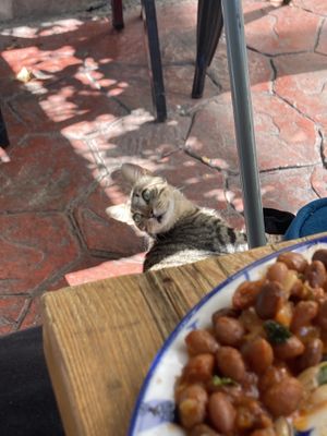   at Roka Cafe in Istanbul