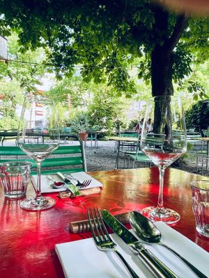 Our new garden at LAUCH in Basel