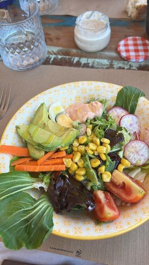   at Rompizo in Roquetas De Mar