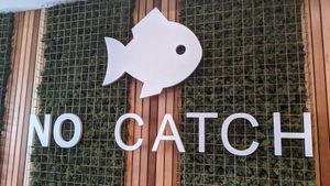 No catch at The No Catch Co in Brighton
