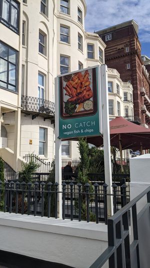 No catch at The No Catch Co in Brighton