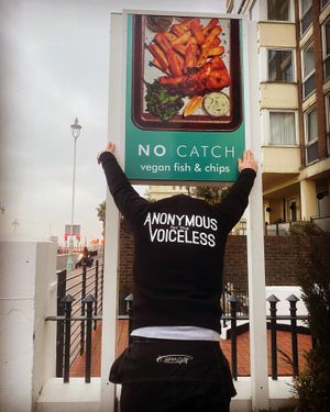 Look for this sign  at The No Catch Co in Brighton