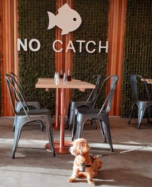 Dog friendly No Catch on Brighton Seafront at The No Catch Co in Brighton