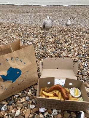Vegan fish and chips on Brighton sea front sharing with my sea gull buddies!! 🌱🙌😃  at The No Catch Co in Brighton