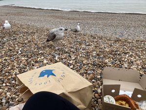   at The No Catch Co in Brighton