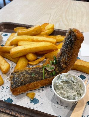   at The No Catch Co in Brighton