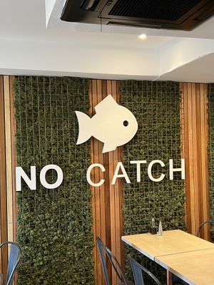   at The No Catch Co in Brighton