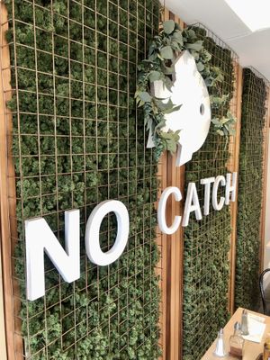 No Catch!  at The No Catch Co in Brighton