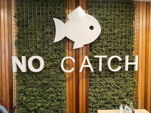 No Catch  at The No Catch Co in Brighton