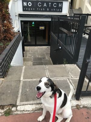  at The No Catch Co in Brighton