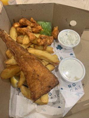   at The No Catch Co in Brighton