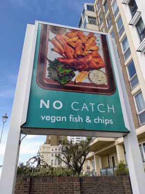  at The No Catch Co in Brighton