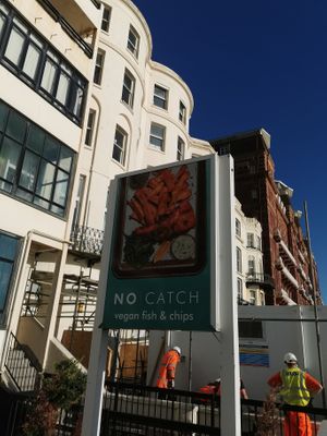 Sign on Brighton seafront at The No Catch Co in Brighton