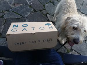  at The No Catch Co in Brighton