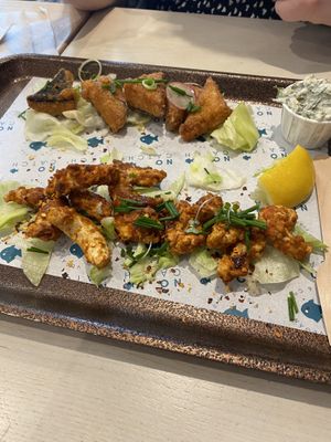   at The No Catch Co in Brighton