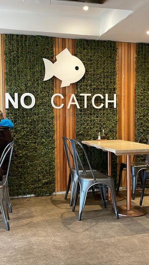   at The No Catch Co in Brighton