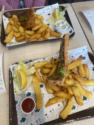   at The No Catch Co in Brighton