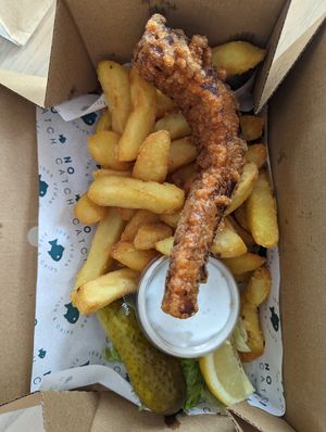  at The No Catch Co in Brighton