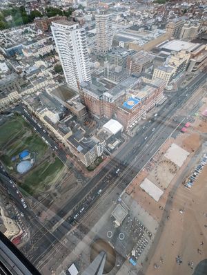 No Catch from i360 at The No Catch Co in Brighton