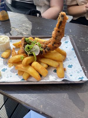   at The No Catch Co in Brighton