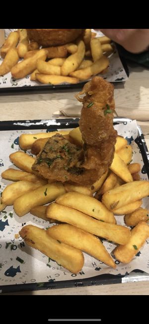   at The No Catch Co in Brighton