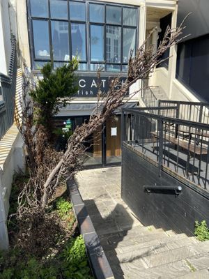 No kerb appeal!  at The No Catch Co in Brighton