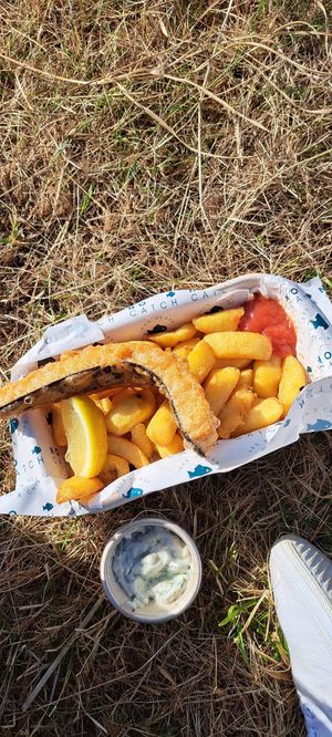 Vegan camp out 2023 at The No Catch Co in Brighton