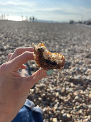   at The No Catch Co in Brighton