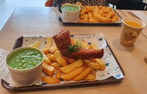  at The No Catch Co in Brighton