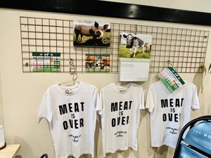   at The No Catch Co in Brighton