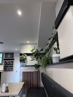   at The No Catch Co in Brighton