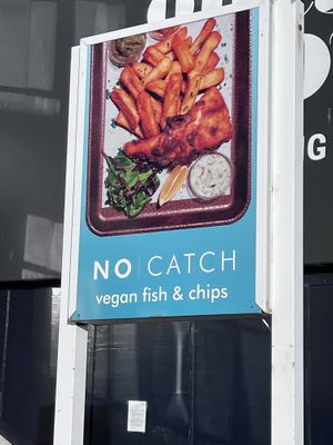   at The No Catch Co in Brighton