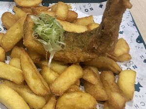   at The No Catch Co in Brighton