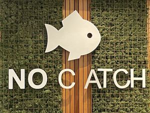   at The No Catch Co in Brighton