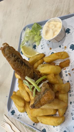   at The No Catch Co in Brighton