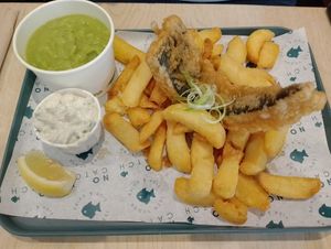  at The No Catch Co in Brighton