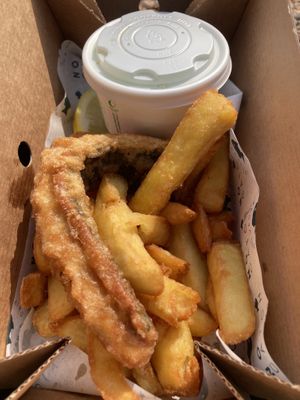   at The No Catch Co in Brighton