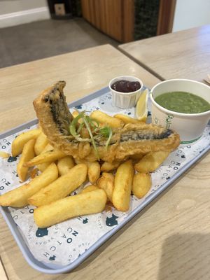   at The No Catch Co in Brighton