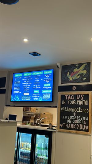   at The No Catch Co in Brighton