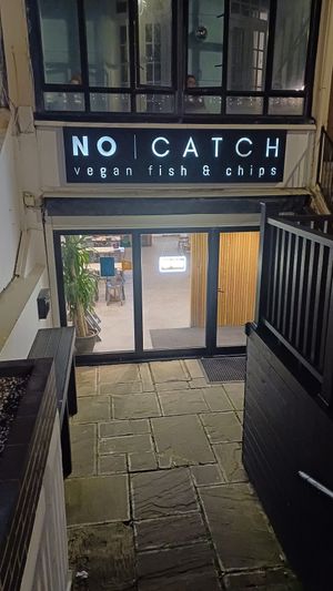  at The No Catch Co in Brighton