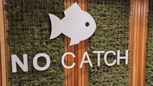  at The No Catch Co in Brighton