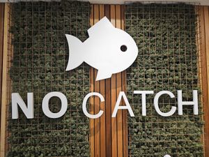  at The No Catch Co in Brighton