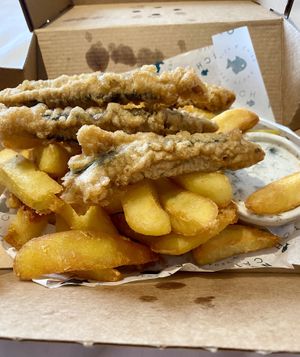   at The No Catch Co in Brighton