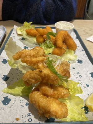   at The No Catch Co in Brighton