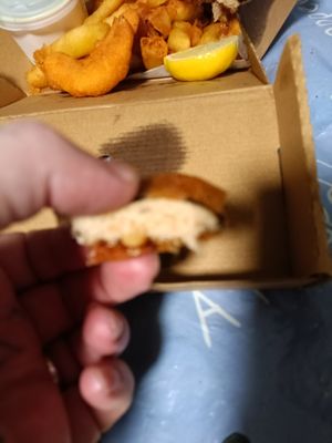  at The No Catch Co in Brighton