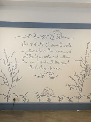   at The No Catch Co in Brighton