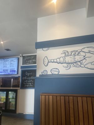   at The No Catch Co in Brighton